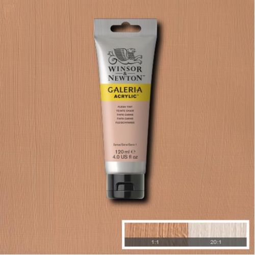 Winsor & Newton Galeria Akrilik Boya Flesh Tint 120 Ml Winsor & Newton Galeria Akrilik Boya Flesh Tint 120 Ml
